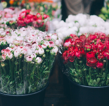 Flower Bouquets Display