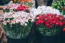 Fresh Flowers