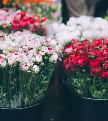 Flowers in bucket