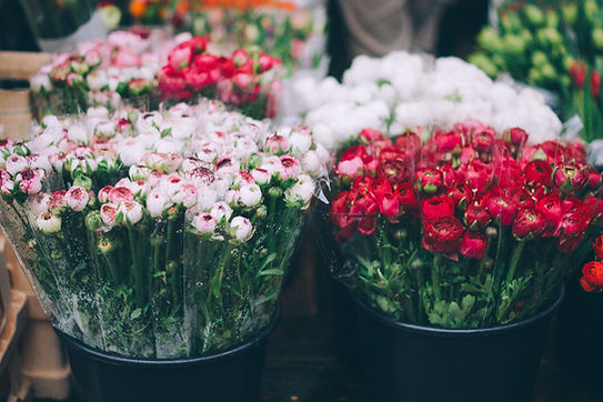 Fresh Flowers