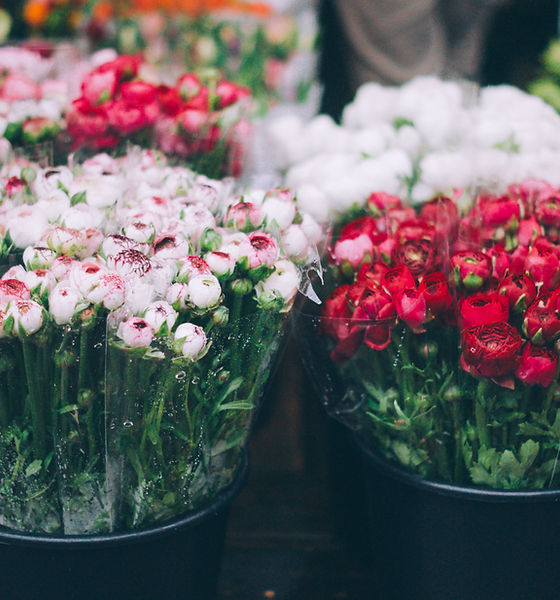 Fresh Flowers