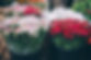 Flores frescas