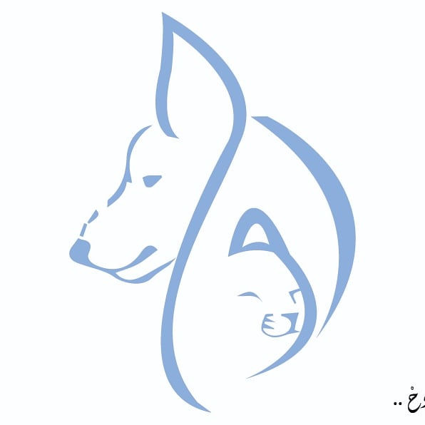 IMG_20190206_190249_031