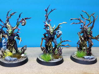Branch Nymphs