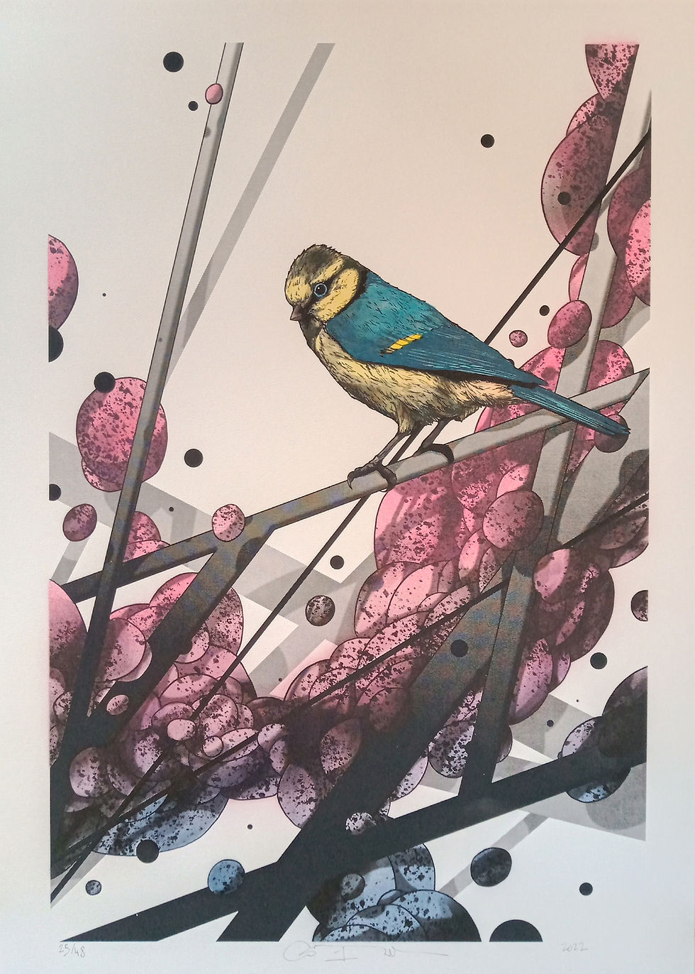 Thumbnail: Mésange Urbaine III