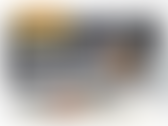 Fábrica de Blocos e Pavers Silwas