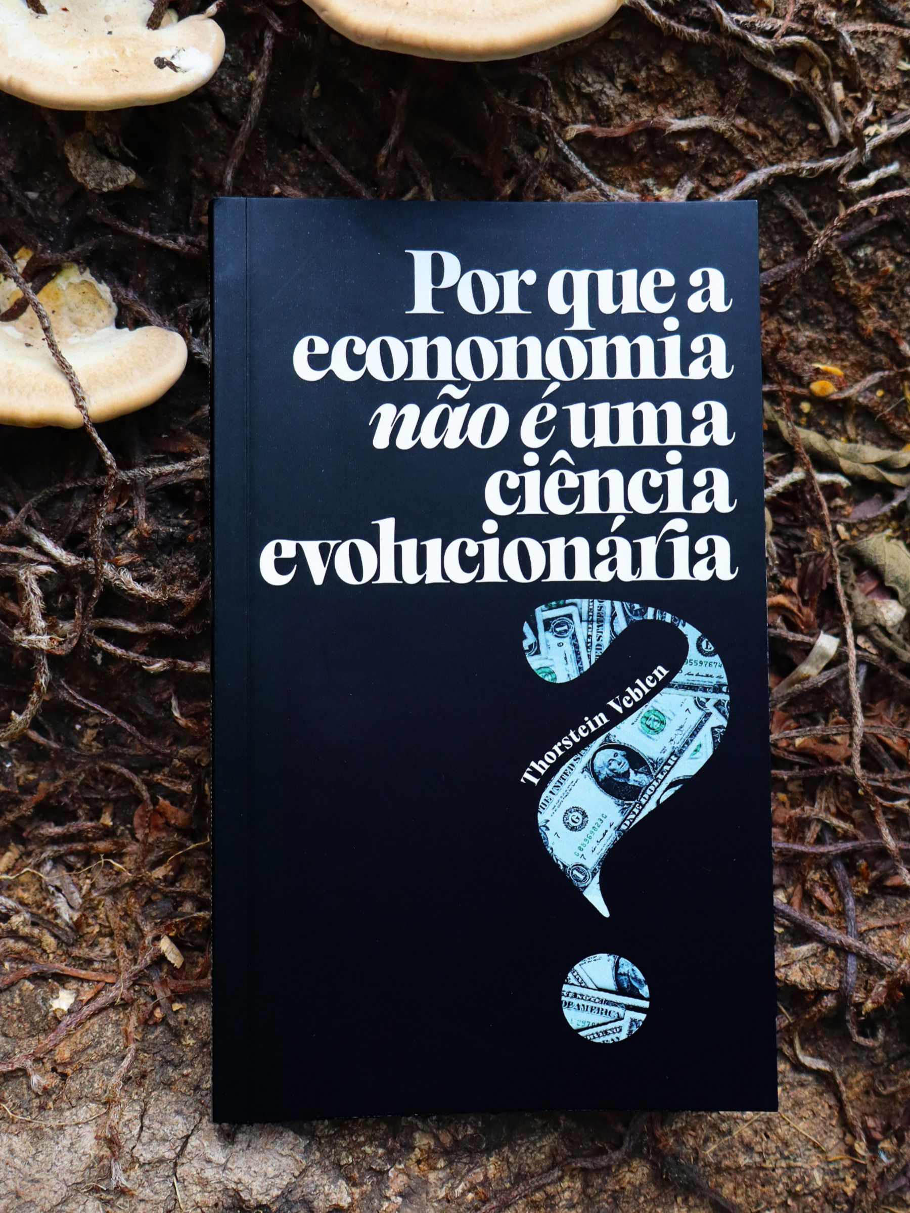 Why is Economics not an Evolutionary Science?