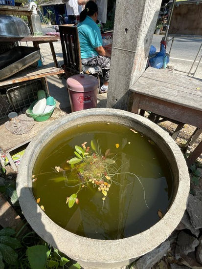 Water feature in Thailand