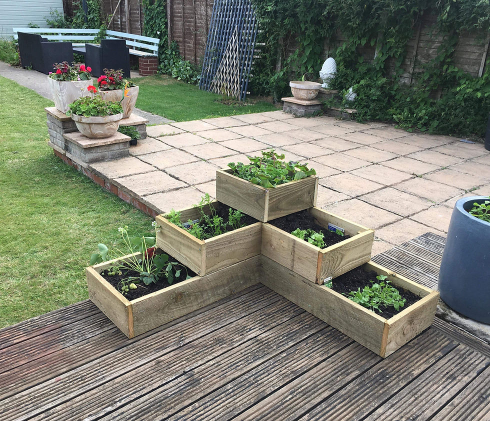 Thumbnail: 1m corner planter