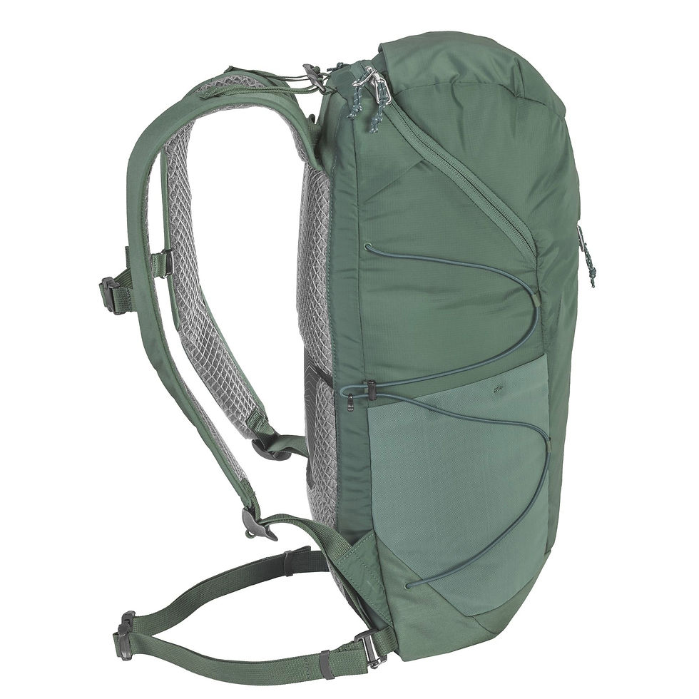 Thumbnail: BACH PACK SHIELD 20  ONE SIZE