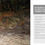 Thumbnail: SOURCE ECO CS TRITAN DOUBLE WALL 600ML