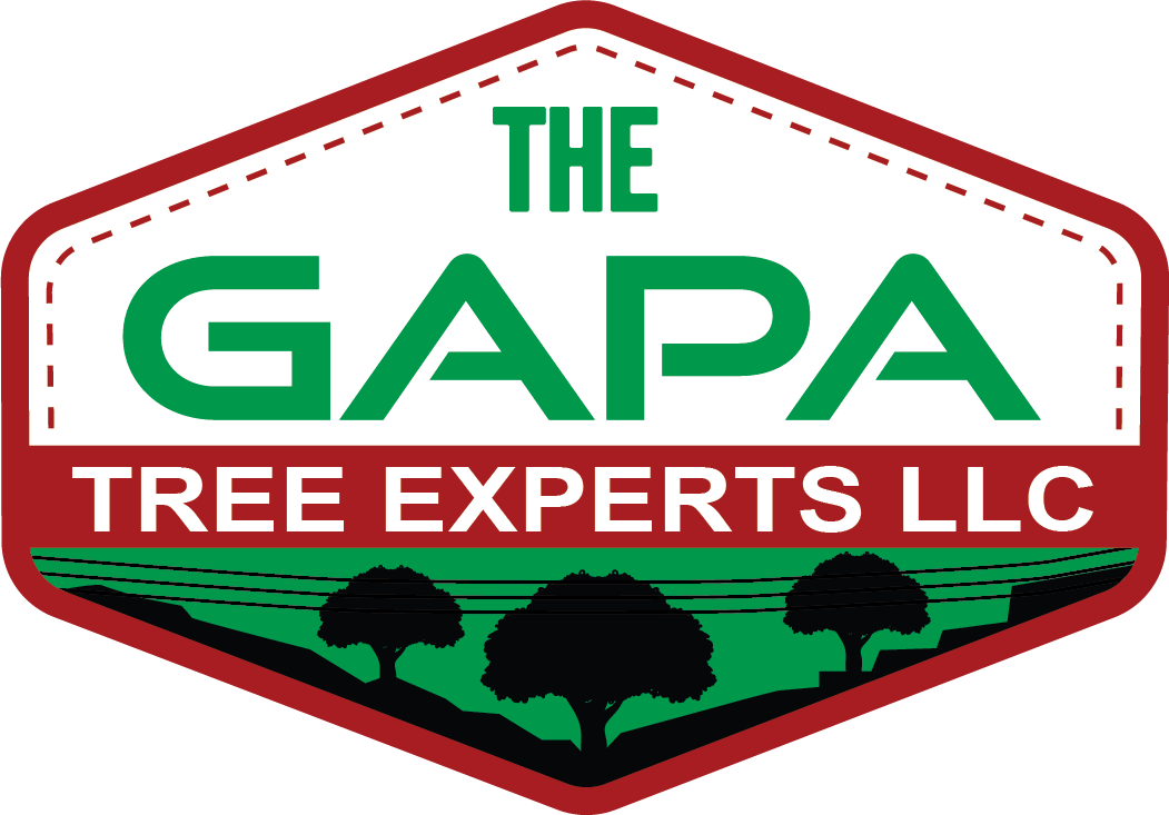 The Gapa_logo.png