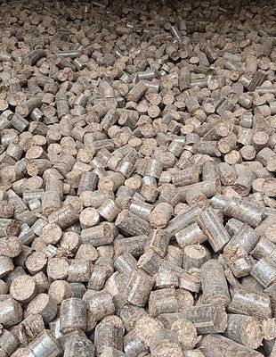 WhatsApp Image 2024-01-05 at 7.32.04 PM (1).jpeg