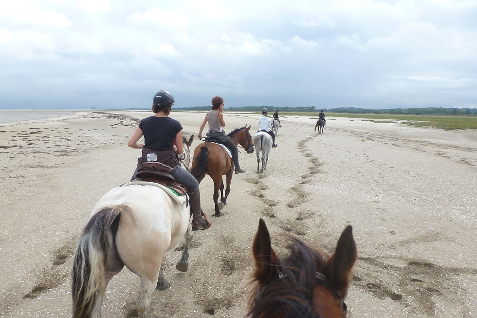 balade sur la plage