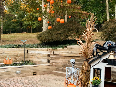 DIY: PUMPKIN TREE