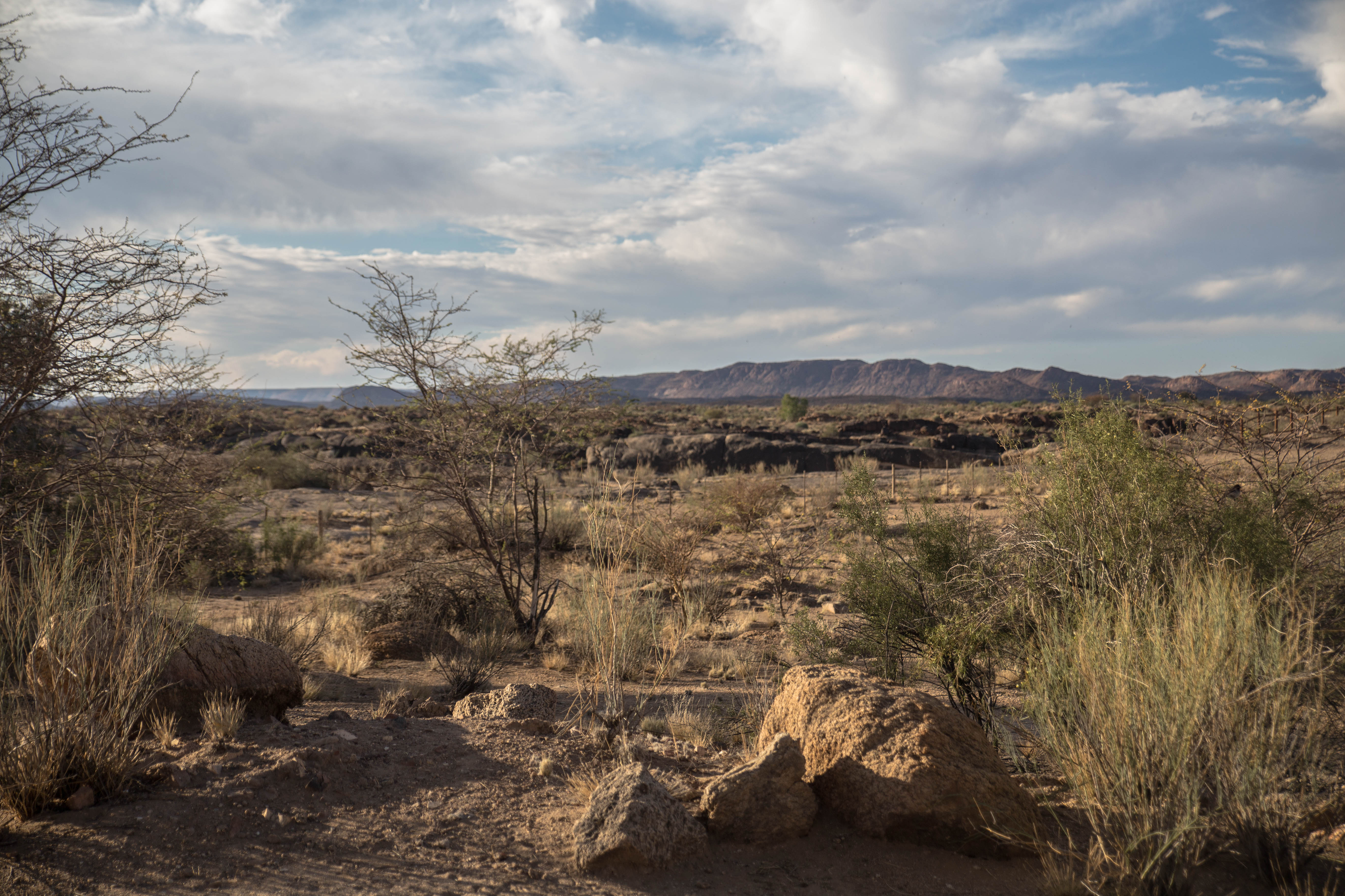 Im Augrabies National Park