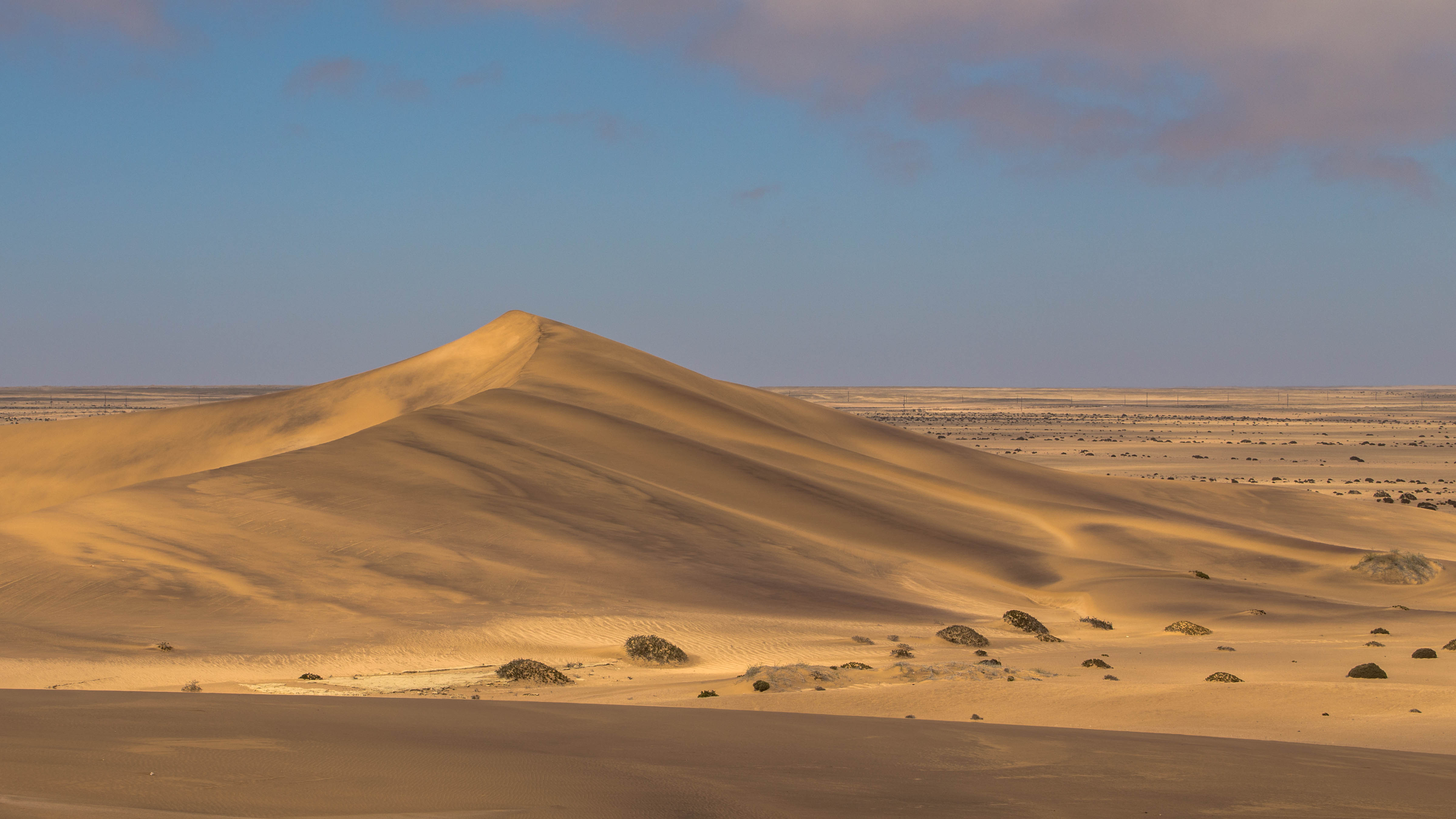 Die weiße Namib