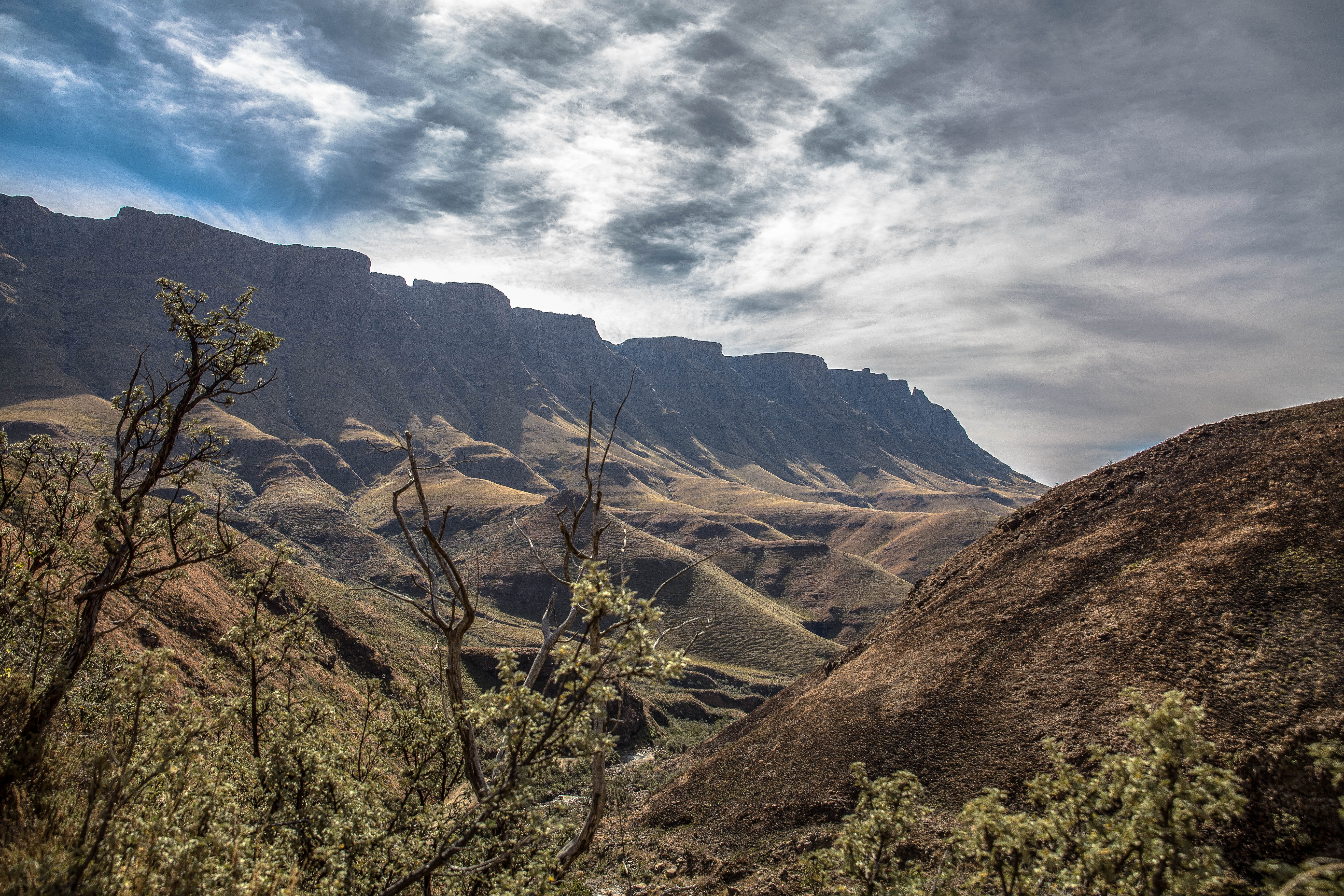 Wunderbare Drakensbege