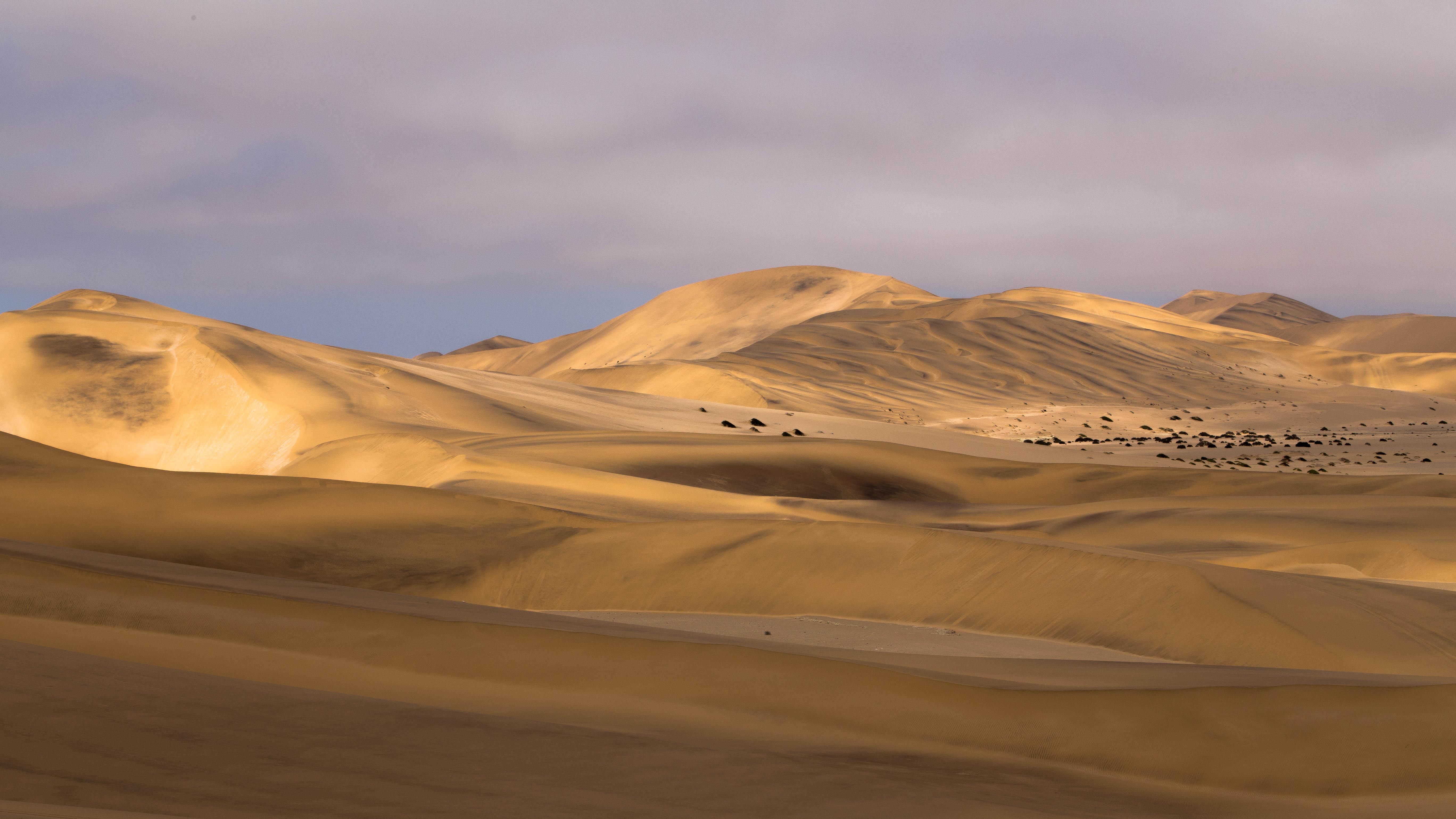 Namib bei Swakopmund