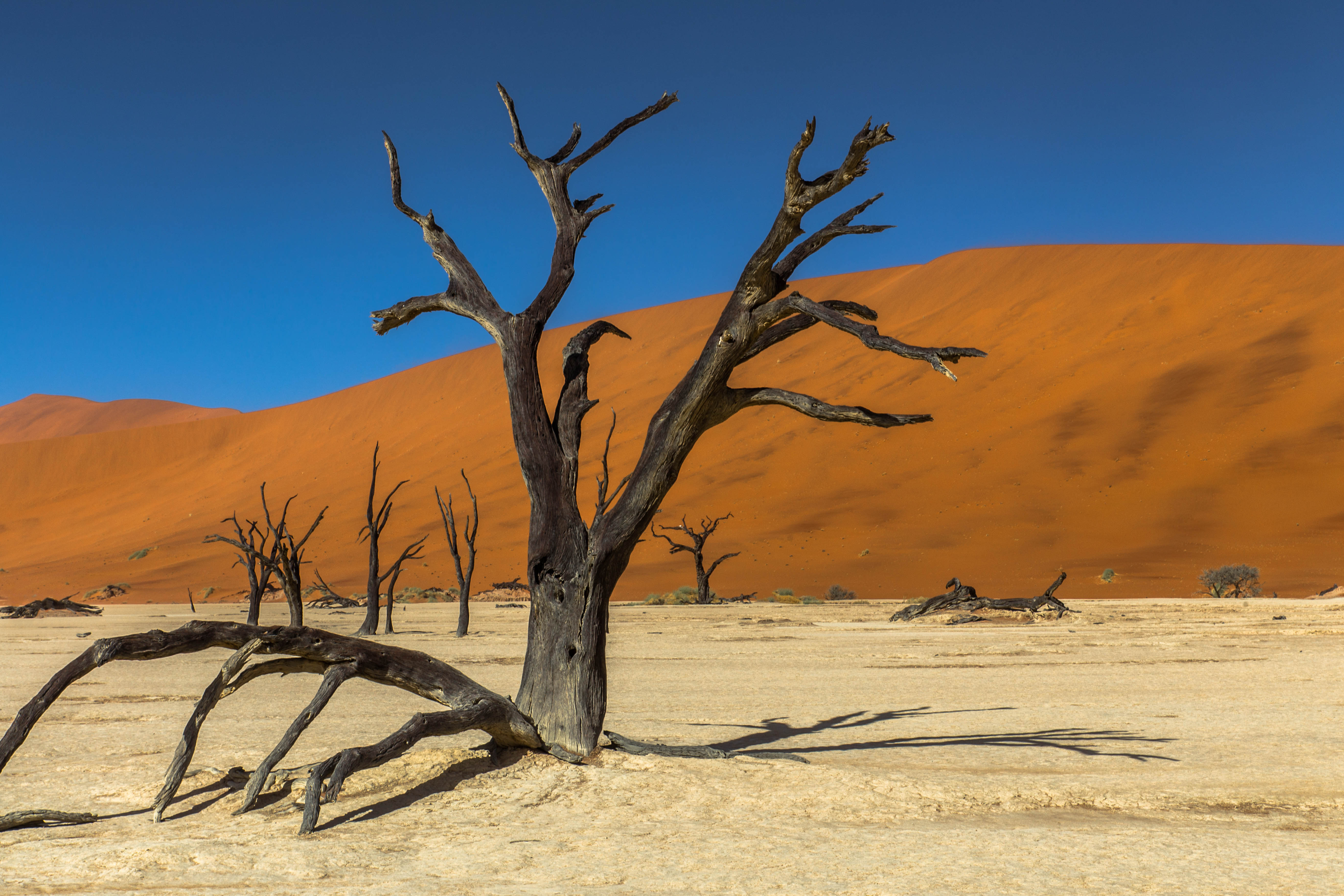dead vlei 3