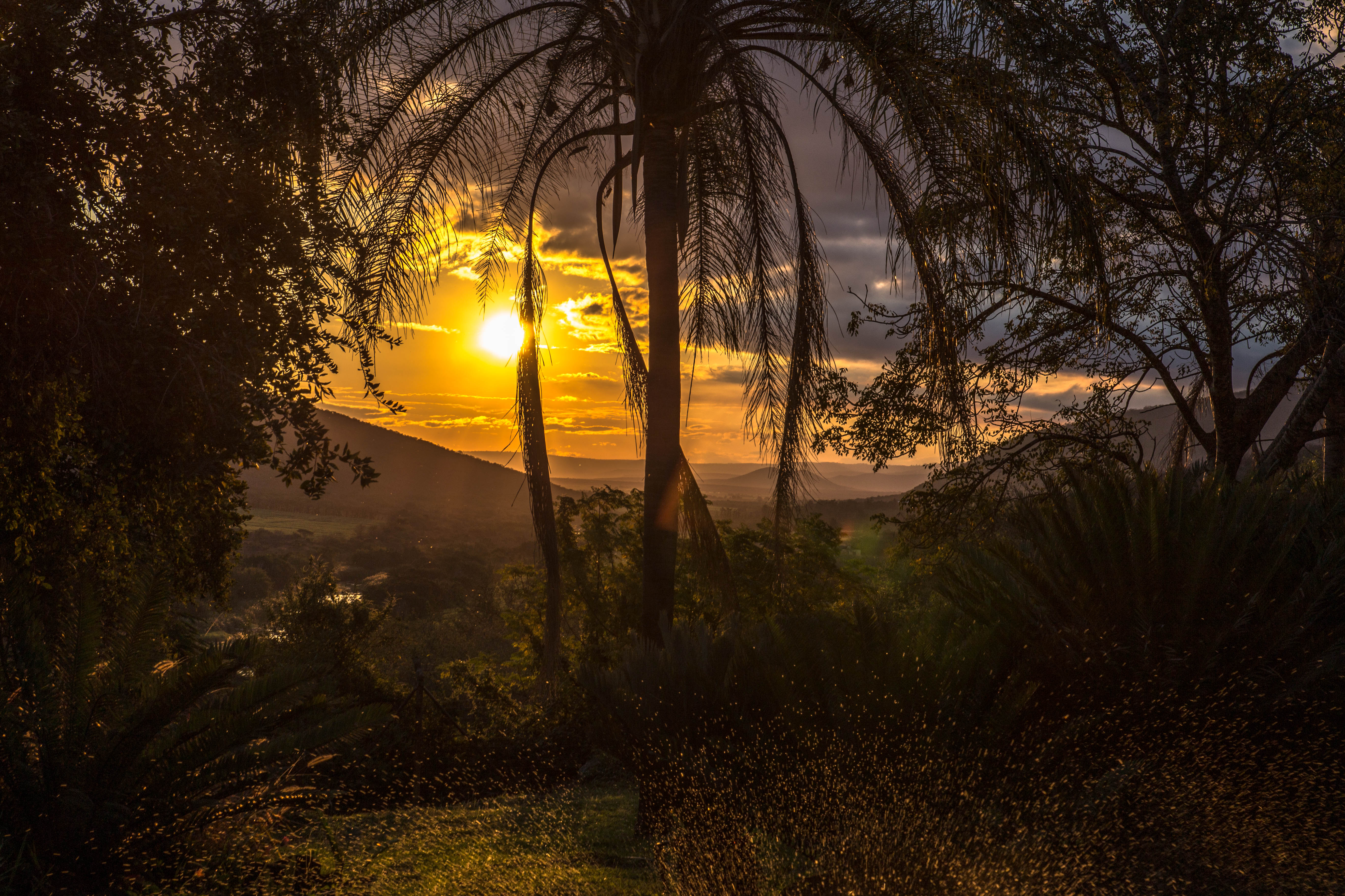 Sonnenuntergang bei Pongola