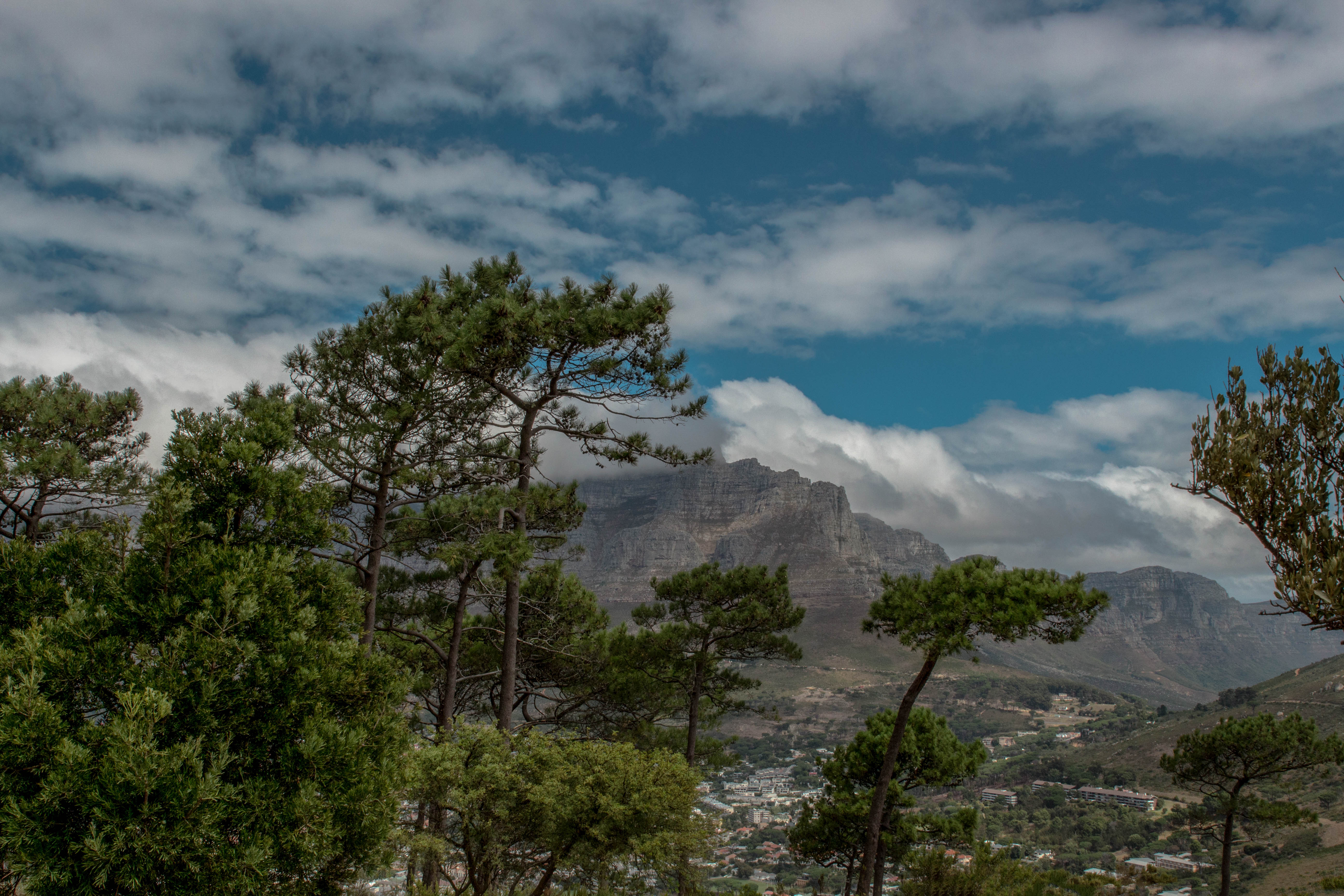 Blick auf den Tafelberg vom Signal Hill