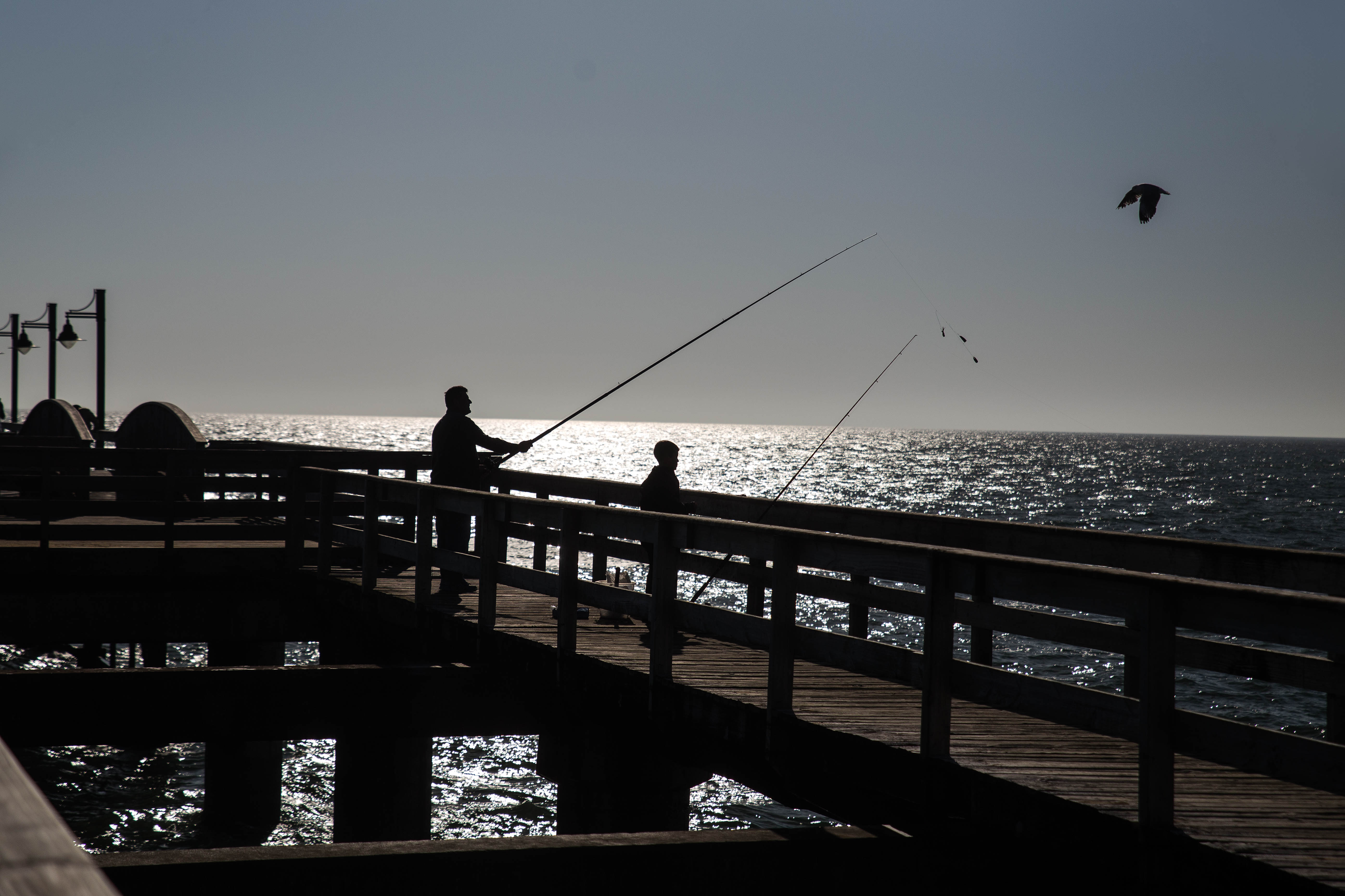 Angeln auf der Jetty