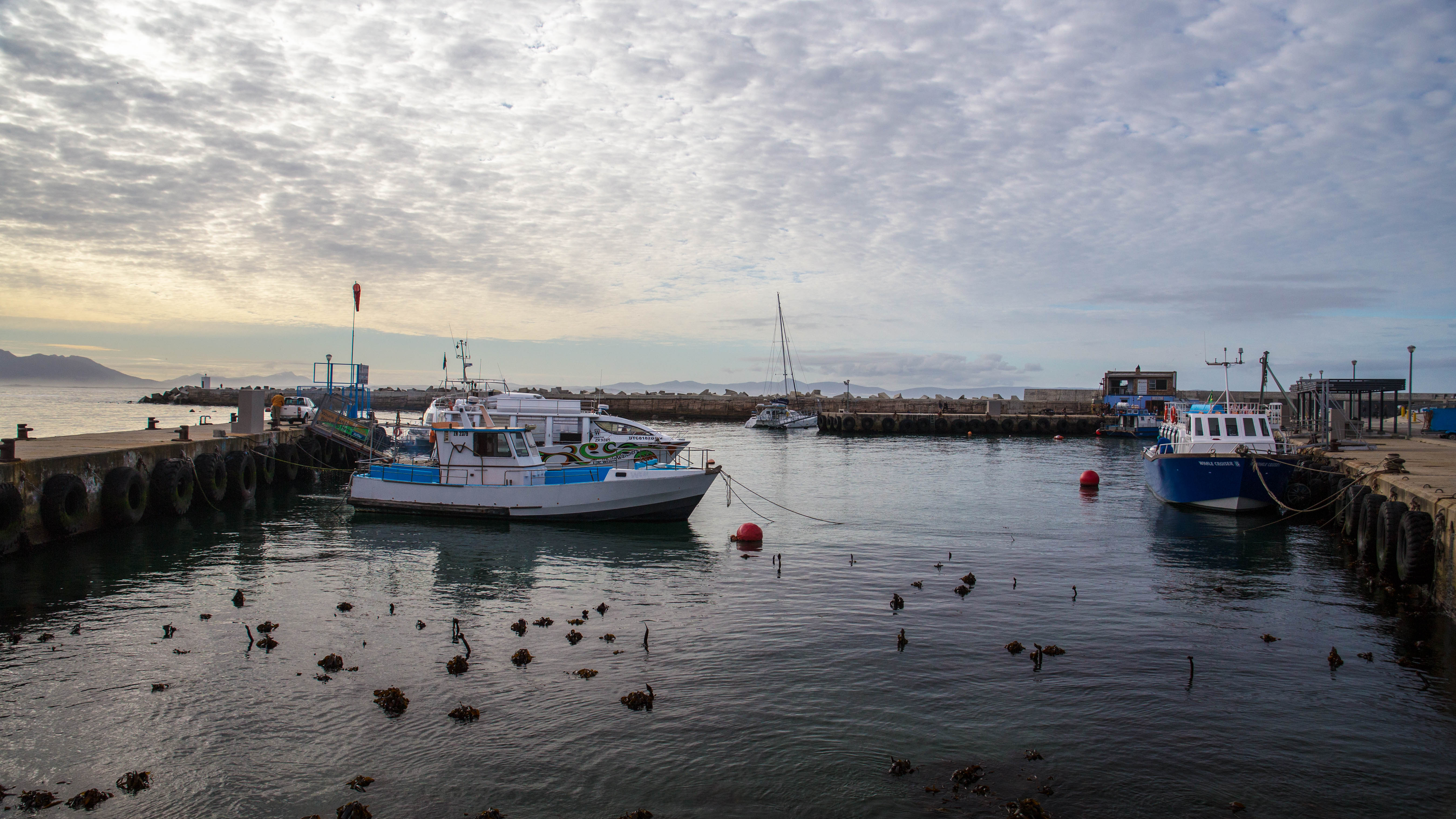 Hafen Hermanns
