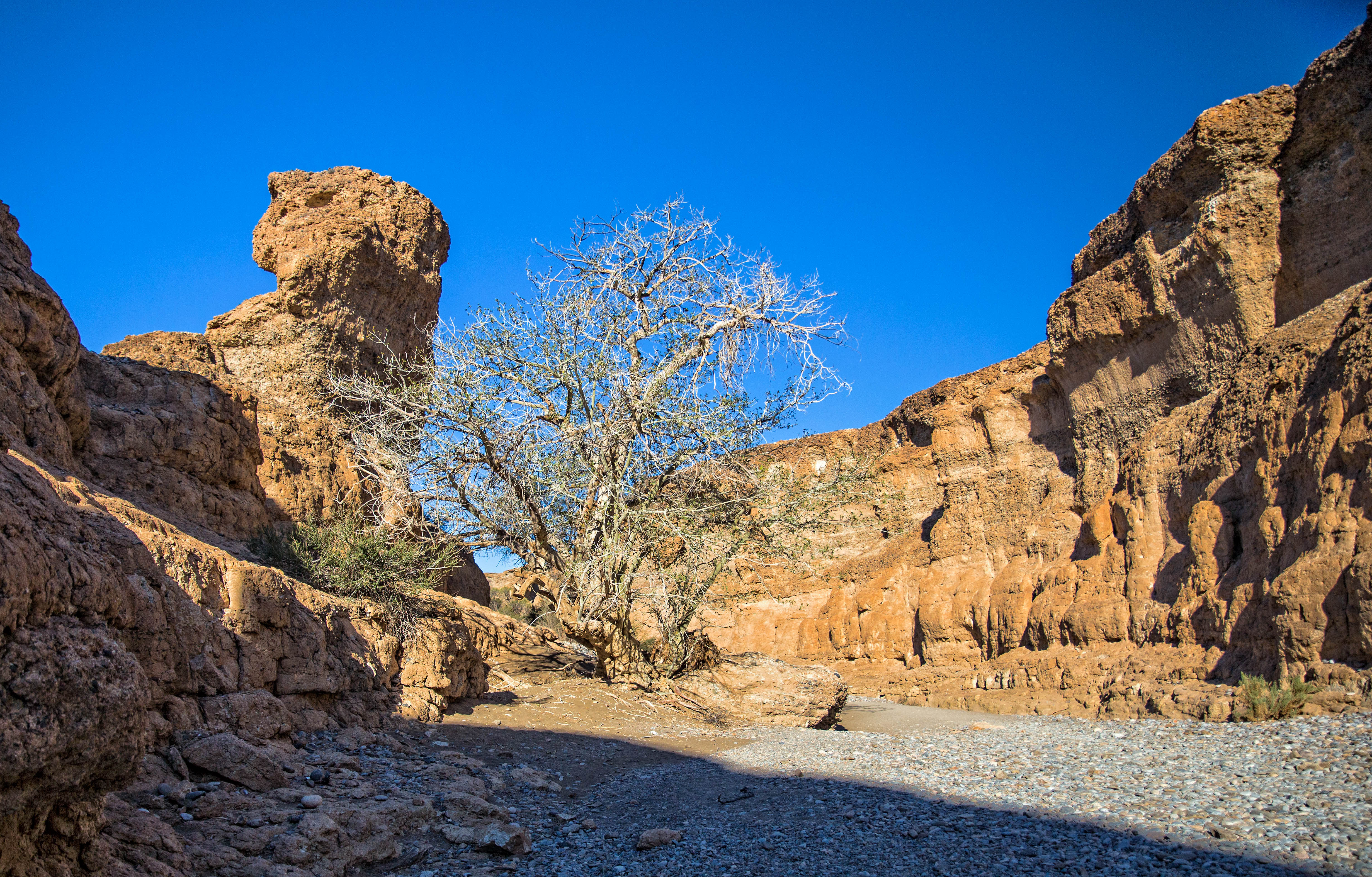 Im Sesriem Canyon 1