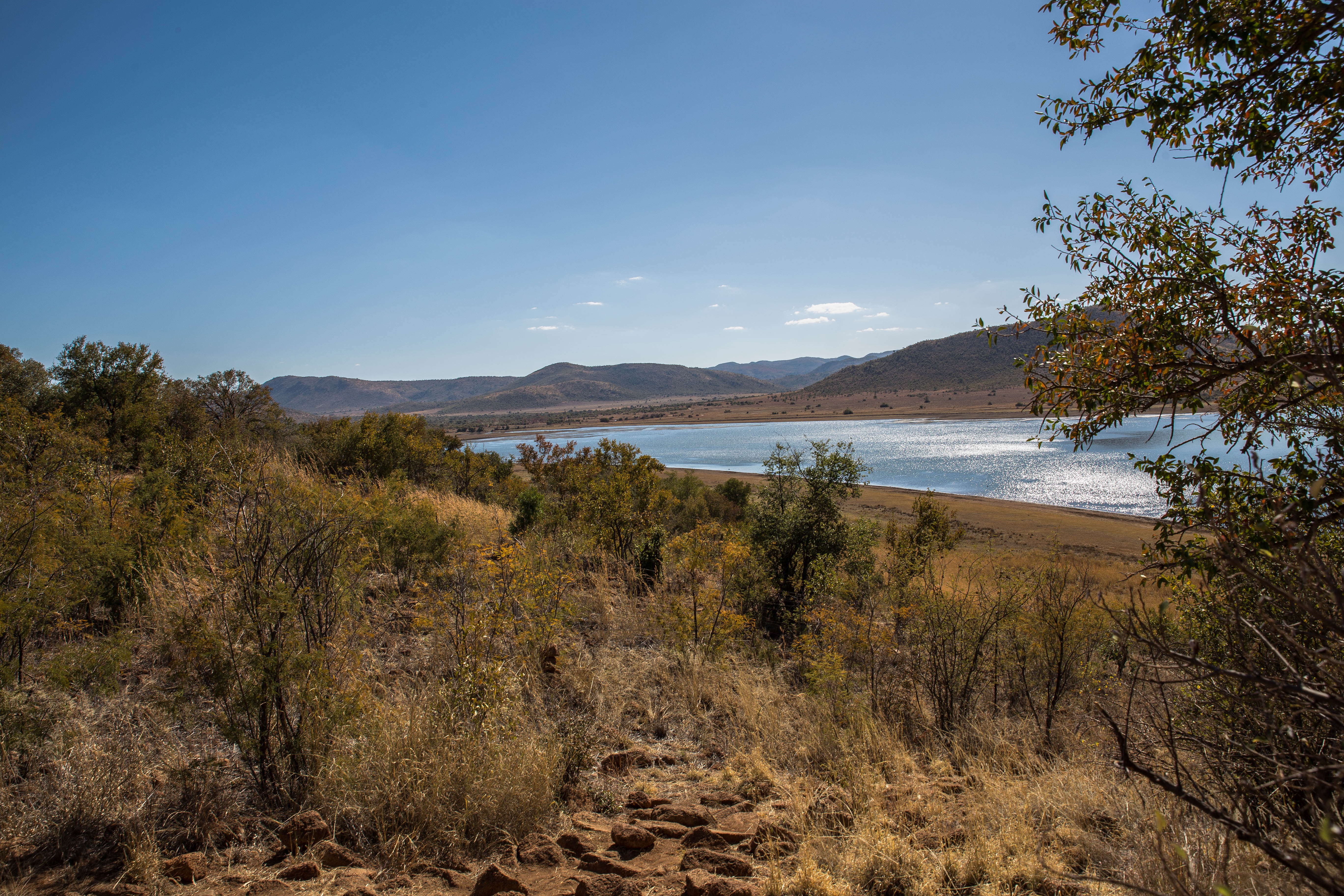 Im Pilanesberg NP