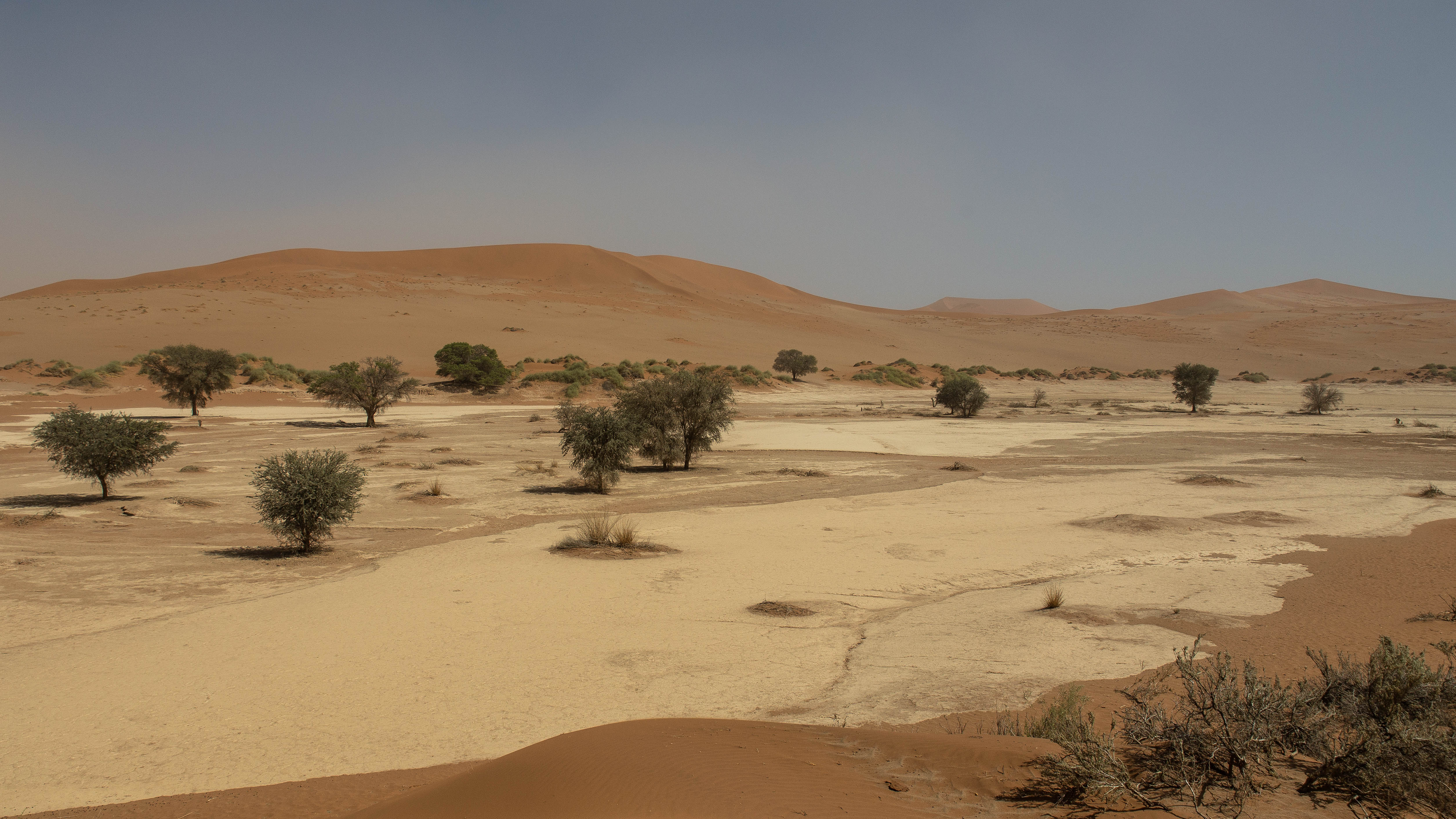 Sossusvlei 2