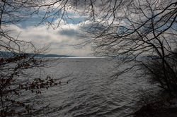 Starnberger See im Winter