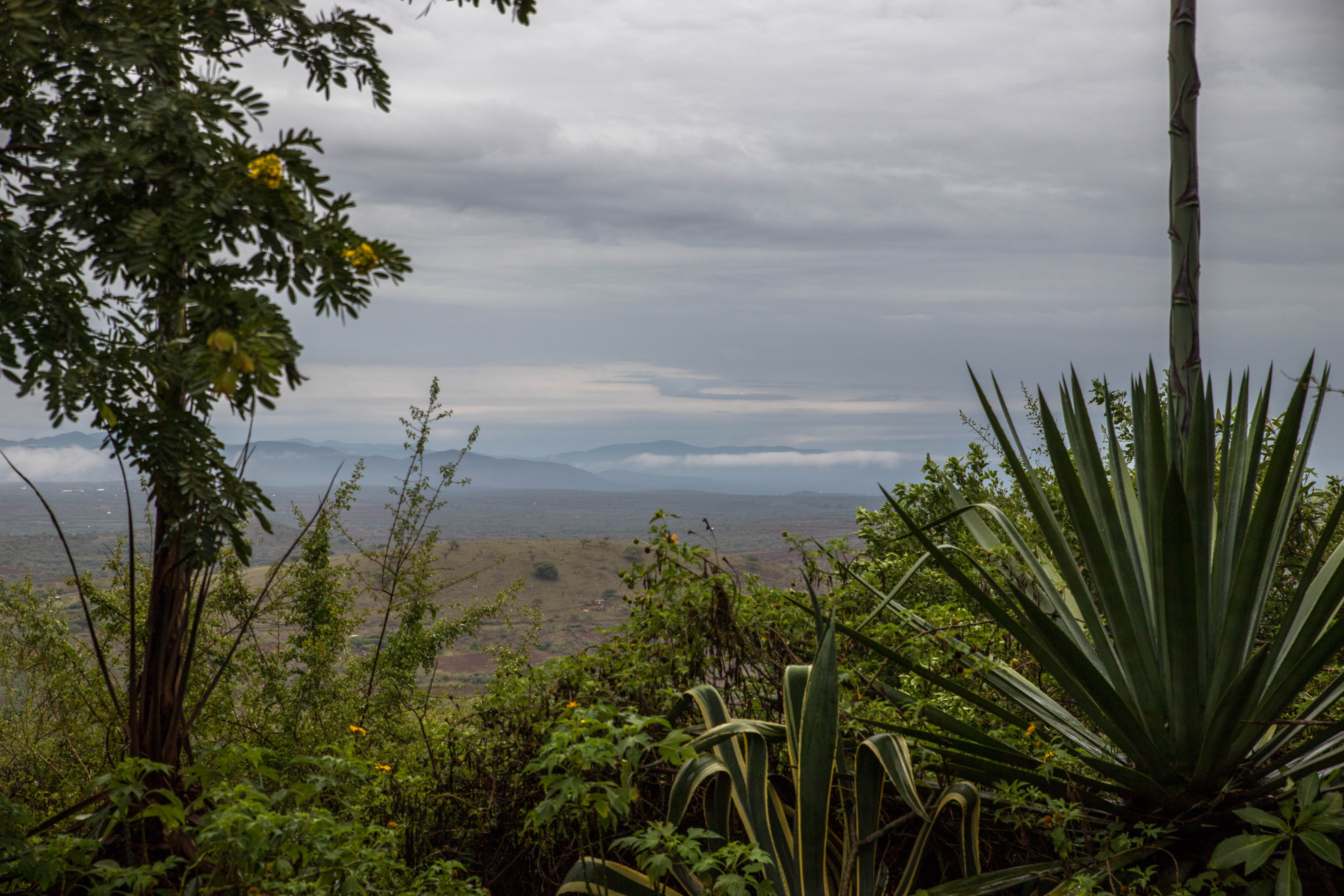 Lake Manyara Region