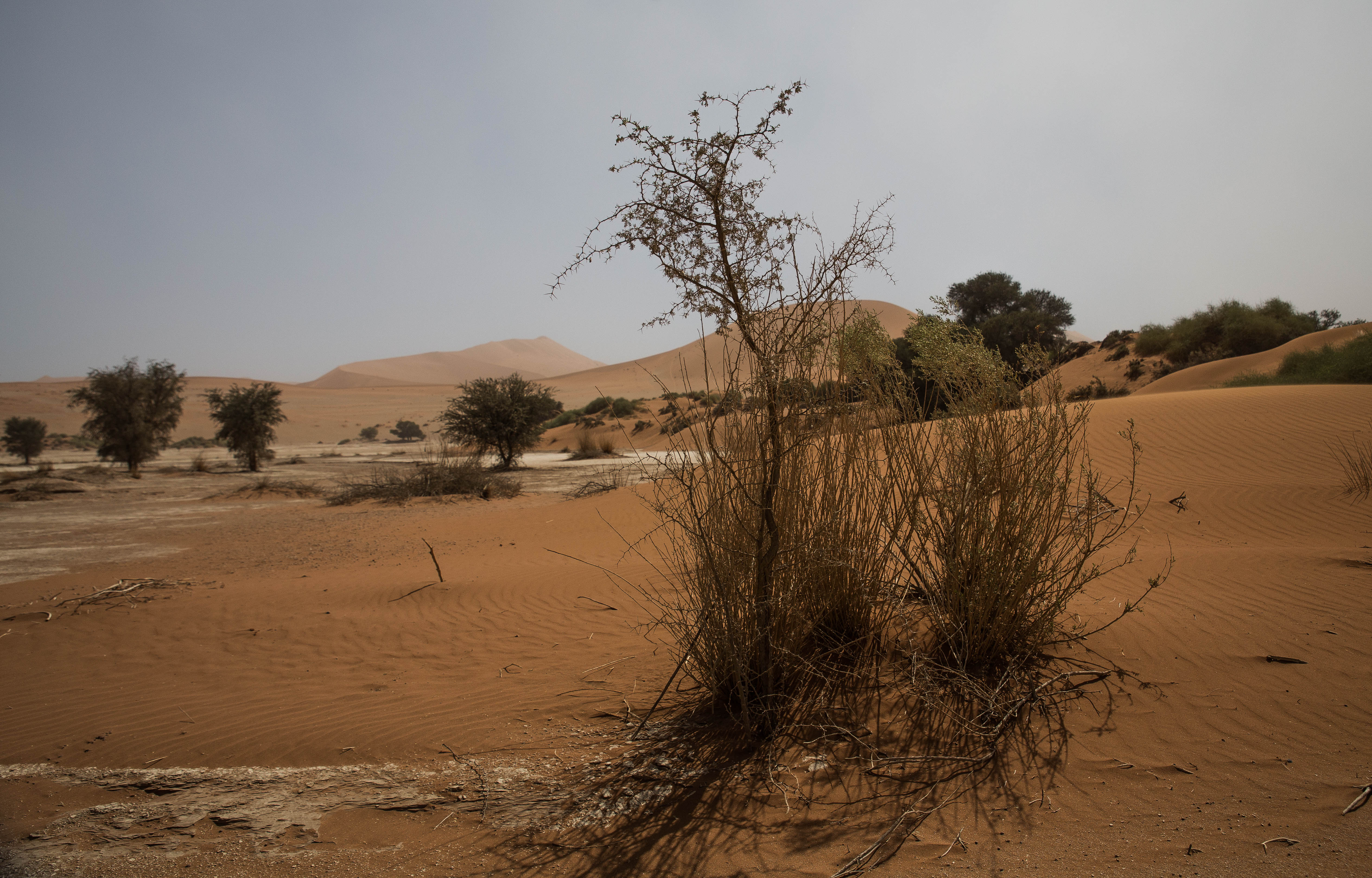 Sossusvlei 1