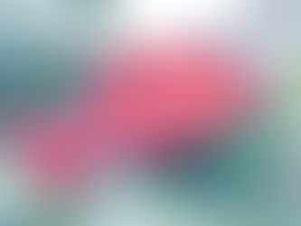 立冬(りっとう)