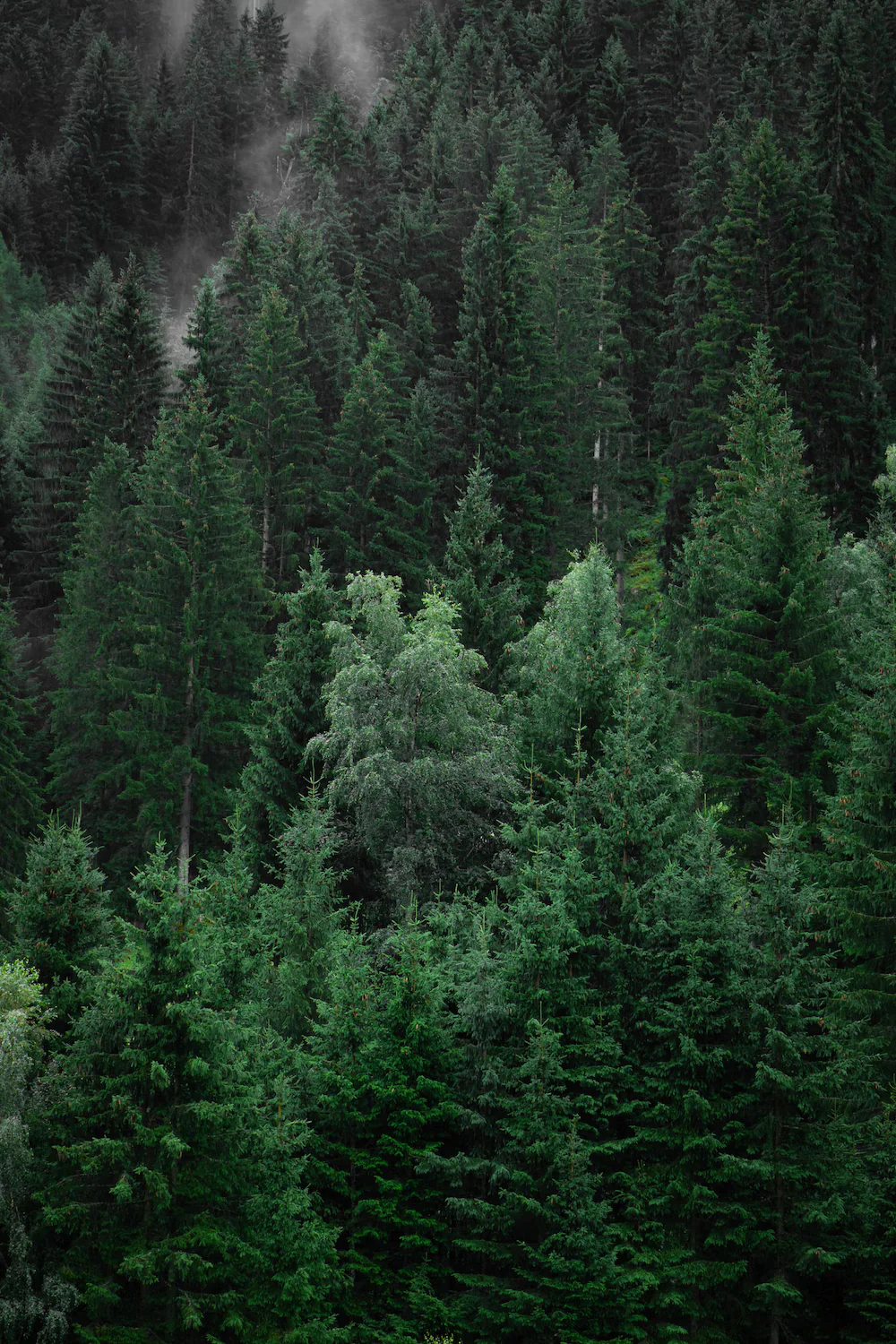 image_1.png.webp