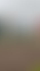  Foodlab Liechtenstein: Vom Hof zum Teller 