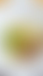 Unsere Gastro-Partner: Specki