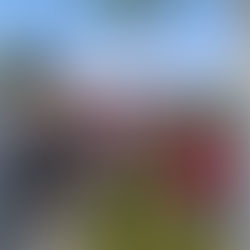 Schule auf dem Bauernhof