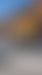 Offene Hoftür im Foppahof