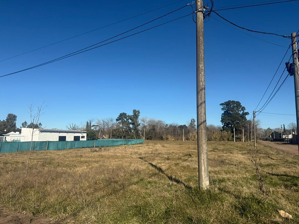 Miniatura: Lote en venta en calle 137 y circunvalación