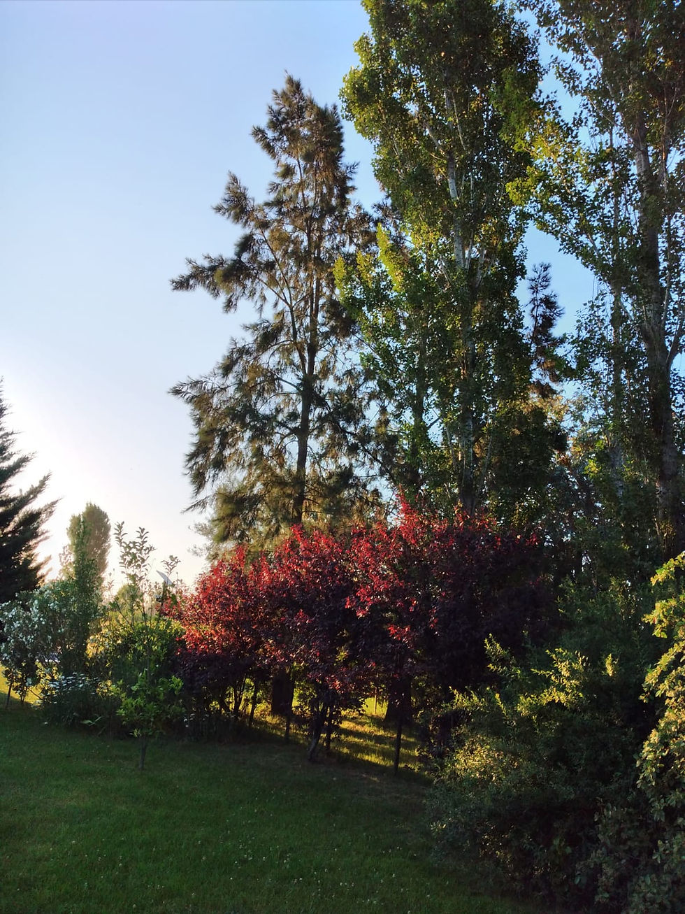 Miniatura: Loteo en venta: calle 26 entre 33 y 35, Navarro