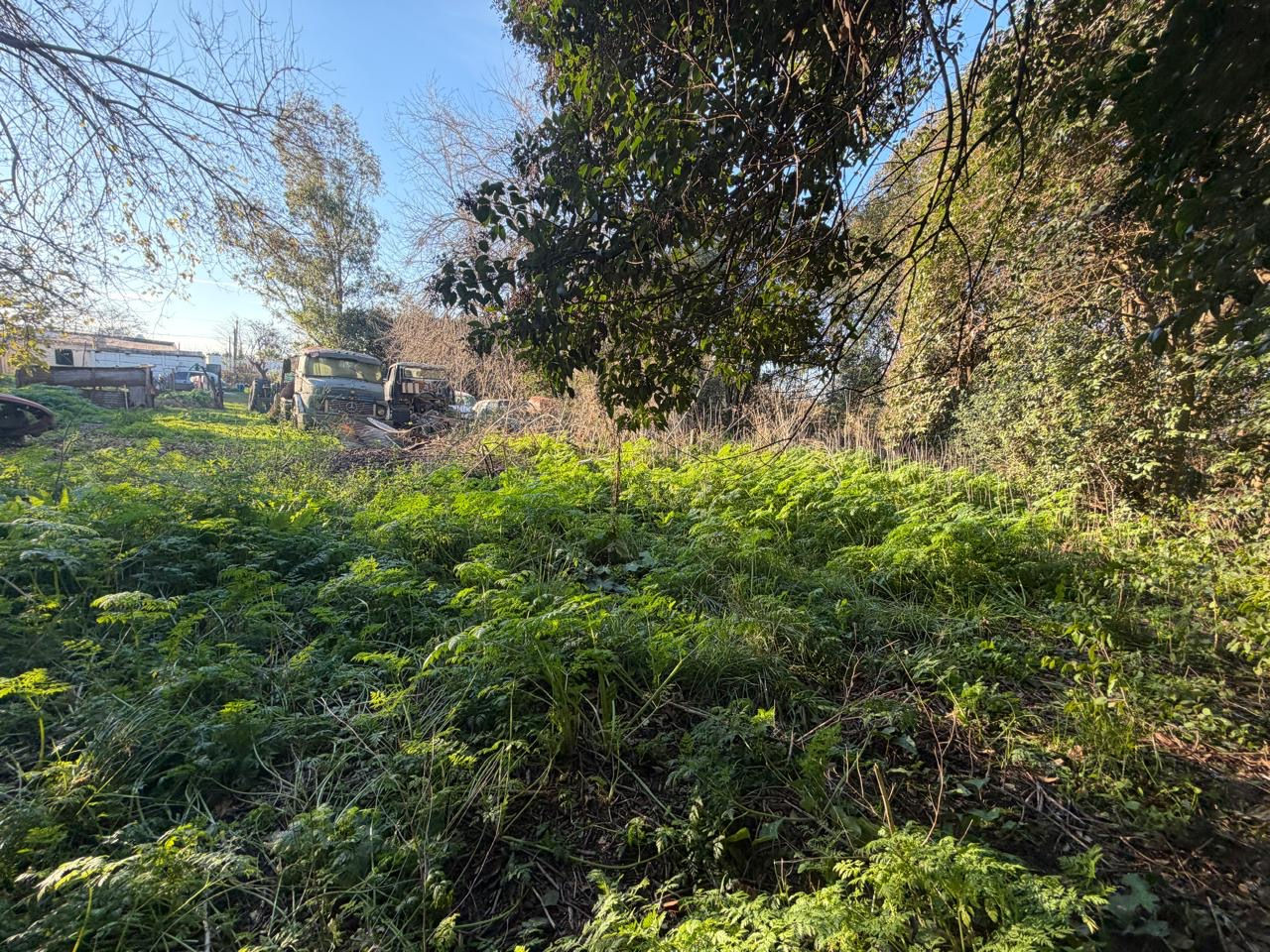 Lote en casa en calle 14 entre 133 y 135