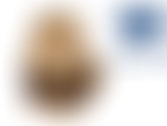 Últimos dias para entregar do Imposto de Renda