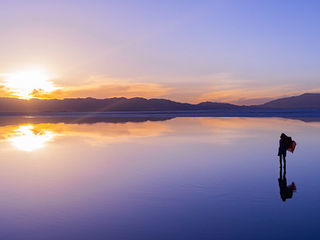 Resumen de Muchas vidas, muchos maestros