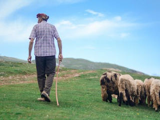 Understanding the Premise: A Basic Introduction to The Alchemist