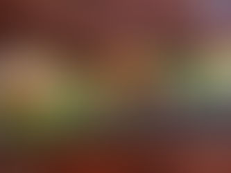 Resumen y revisión de Ikigai