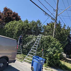 Vous avez besoin de réduire la hauteur de votre haie, vos arbres ou vos arbustes? Ce service ultra-spécialisé de rabattage des cèdres est pour vous.