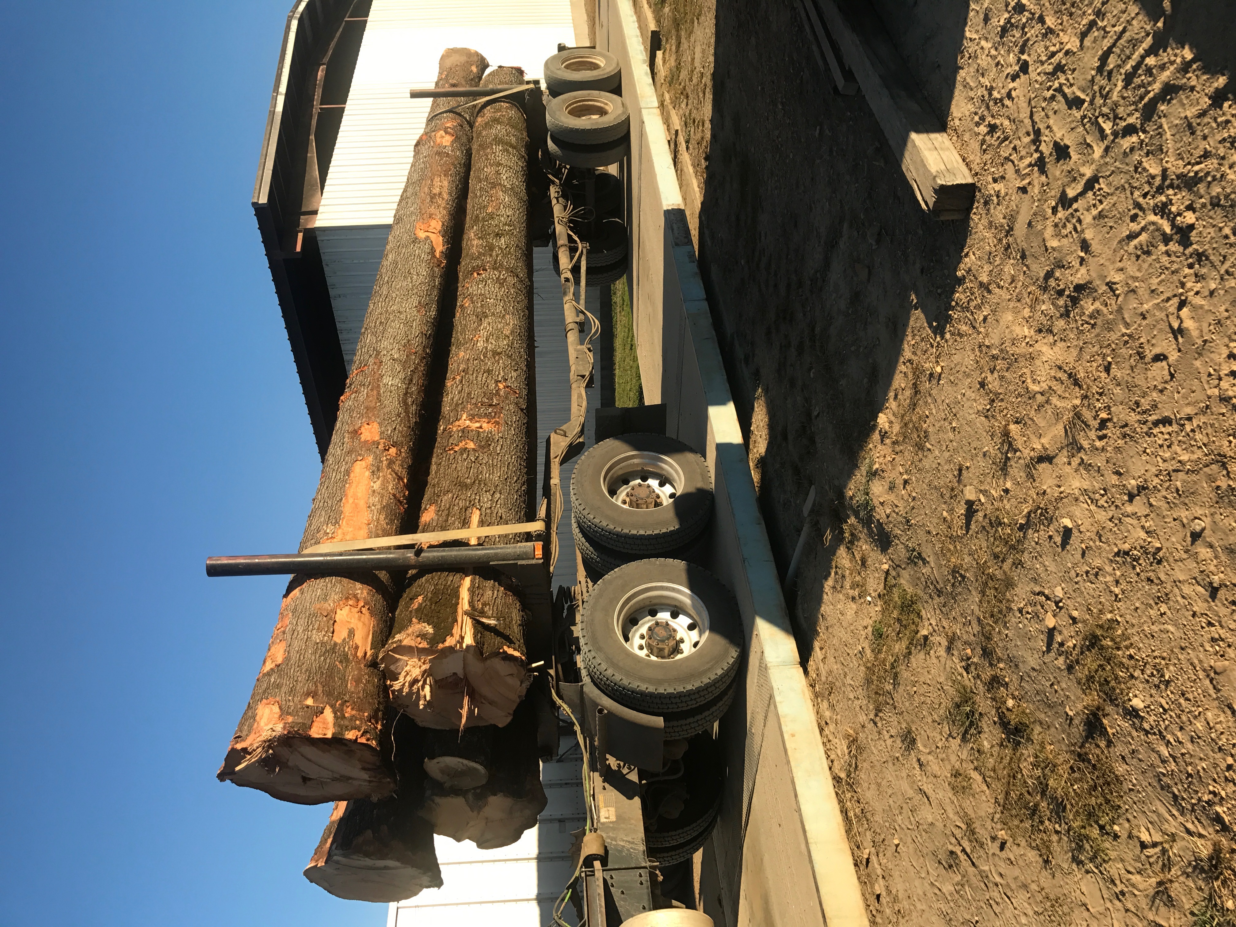 Gallery rogerslumberco