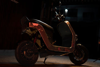 ANI07037.jpg